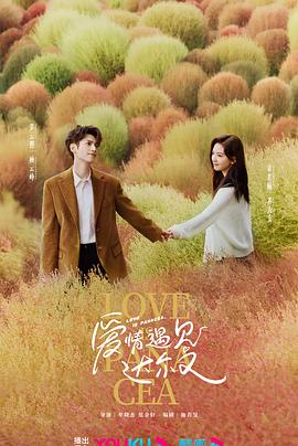 沈阳seo哪家专业